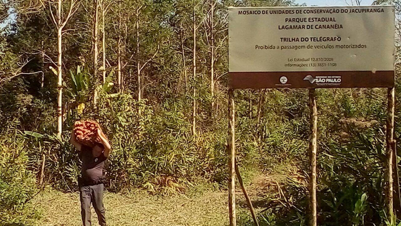 Polícia Militar Ambiental teve trabalho para recolher 1,5 tonelada no meio da mata no Parque Largamar. Foto: Divulgação/Polícia Militar Ambiental
