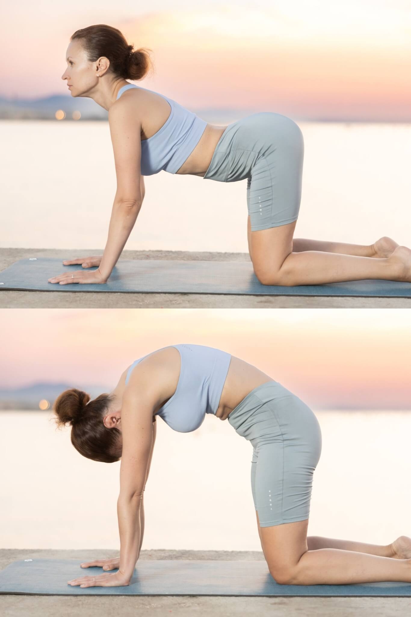 3. Exercício do gato Fique na posição de quatro apoios. Inspire e, na expiração, traga sua coluna em direção ao teto, fazendo um arco como um gato arrepiado. Nesse momento, a cabeça precisa acompanhar o movimento e o seu olhar deve ser direcionado para o meio das pernas. Ao retornar, imagine levando os ísquios para longe (como se fosse empinar o bumbum) e leve o olhar para frente. Expire e retome o movimento. Repita de 8 a 10 vezes.  Reprodução: EdiCase