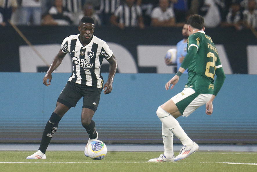 Botafogo x Palmeiras (Foto: Vítor Silva/Botafogo)