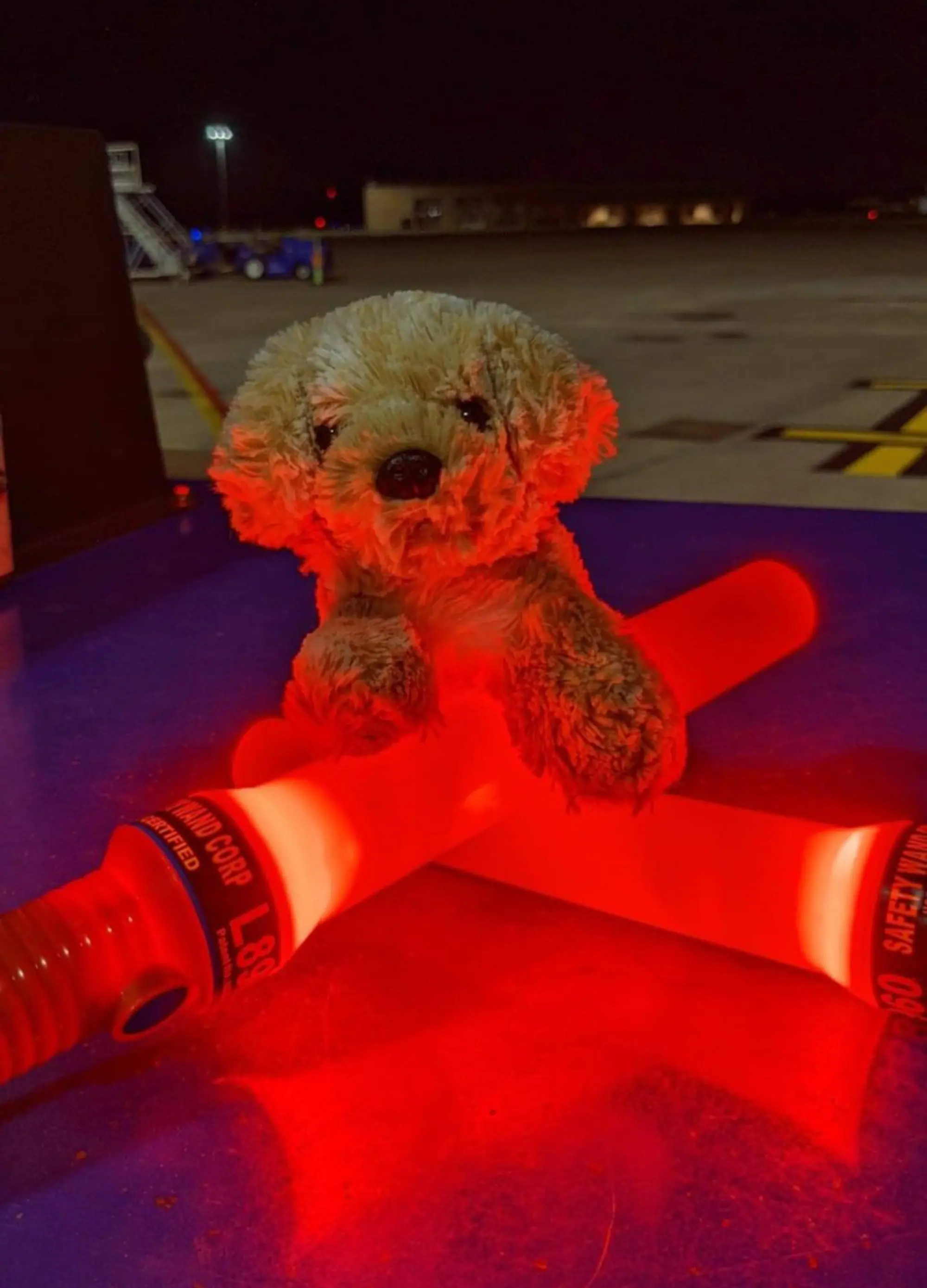 O vídeo com o cachorrinho de pelúcia rendeu várias criticas de consumidores insatisfeitos com os serviços. Foto: Reprodução/Southwest Airlines