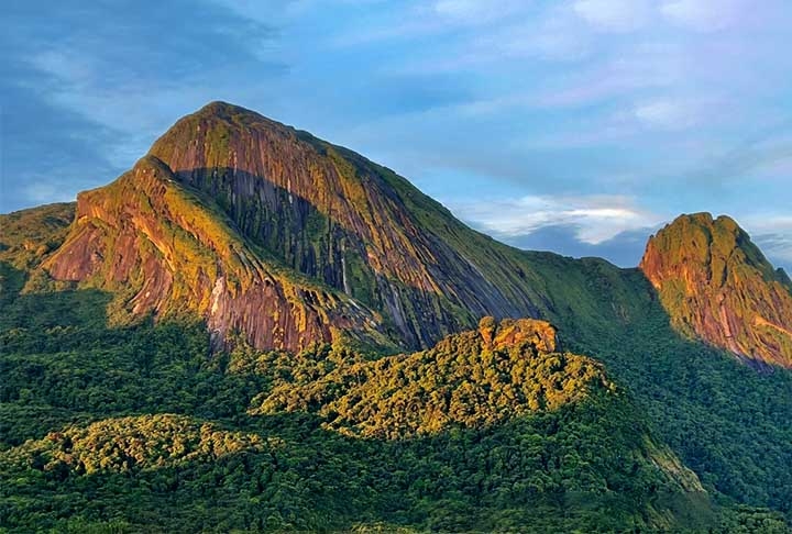 Os pesquisadores passaram 12 dias acampados no topo de uma montanha vizinha ao Pico do Imeri, a quase 1.900 metros de altitude. Eles coletaram a maior diversidade possível de plantas e animais em uma das regiões mais preservadas e menos conhecidas da Amazônia.  Reprodução: Flipar