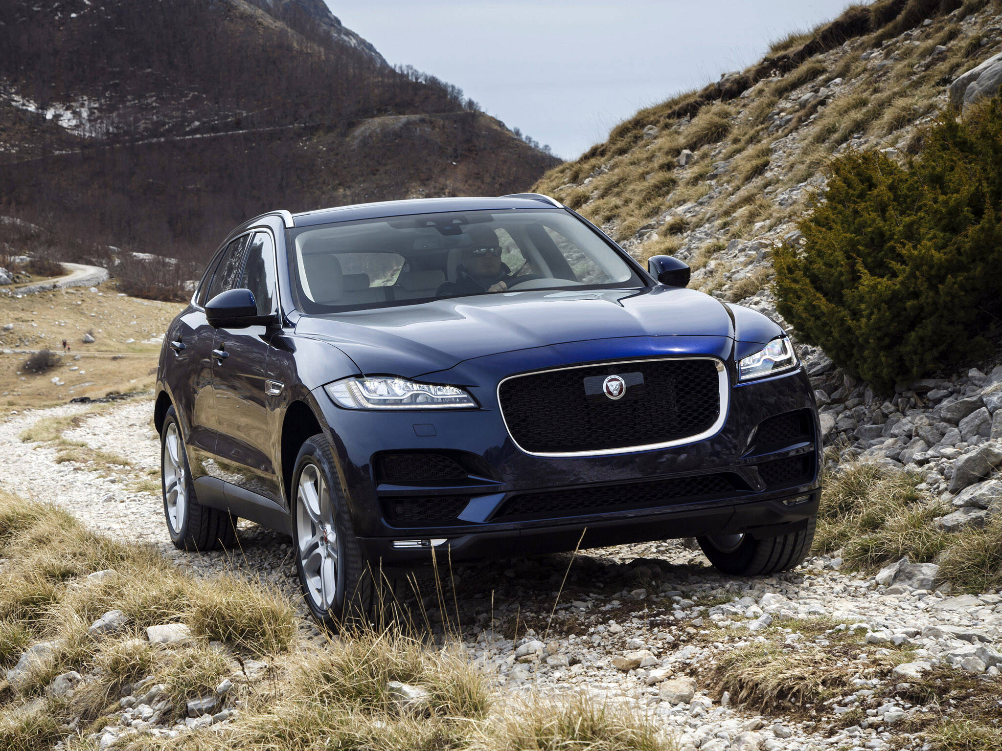 Jaguar F-Pace. Foto: Divulgação/Jaguar Land Rover