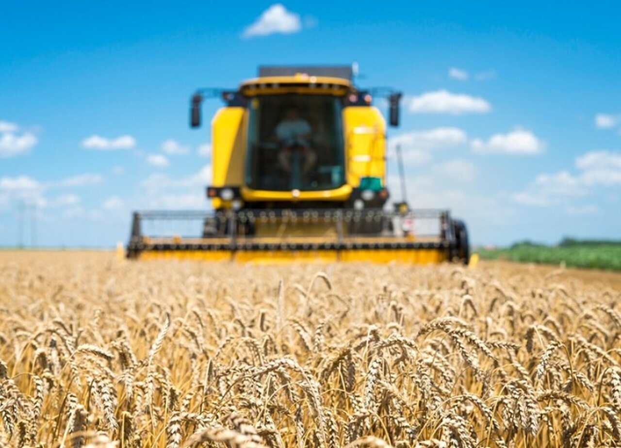 A pesquisa em melhoramento genético de sementes e a adoção de tecnologias de cultivo são fundamentais para alcançar maior qualidade e maior produtividade nas lavouras nacionais. Reprodução: Flipar