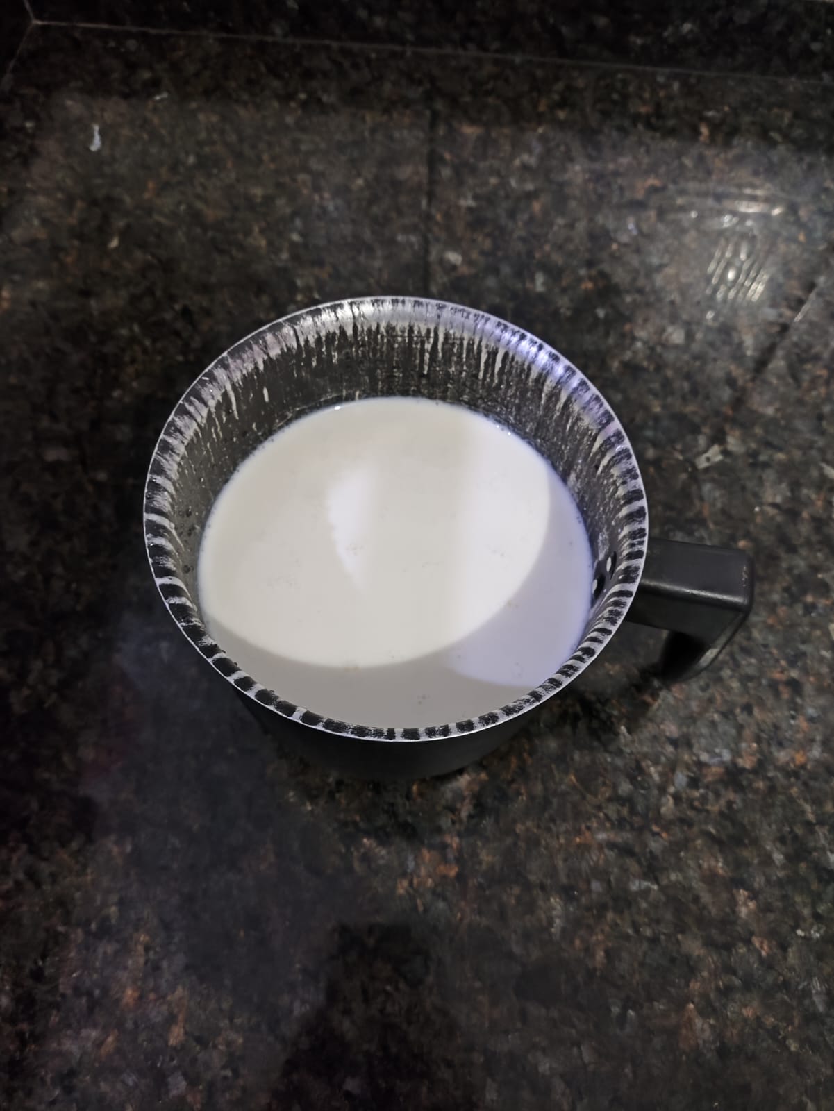 1 litro de leite. Foto: Reprodução