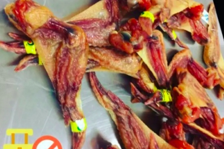 Asa de galinha: Normal para um churrasquinho, certo? Mas esse veio diretamente da China e precisou ser destruído ainda no aeroporto. Reprodução: Flipar