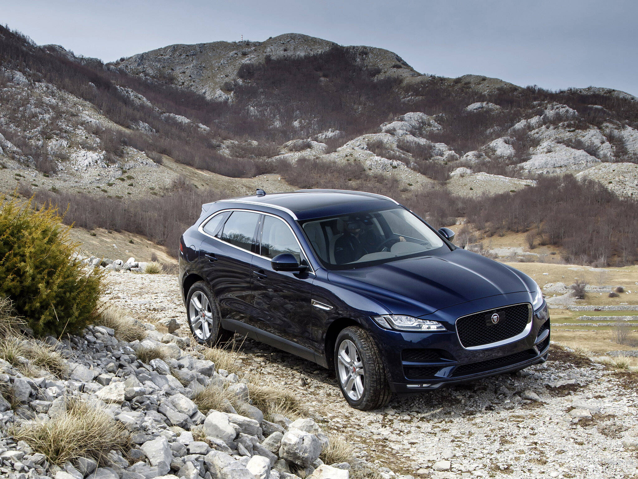 Jaguar F-Pace. Foto: Divulgação/Jaguar Land Rover