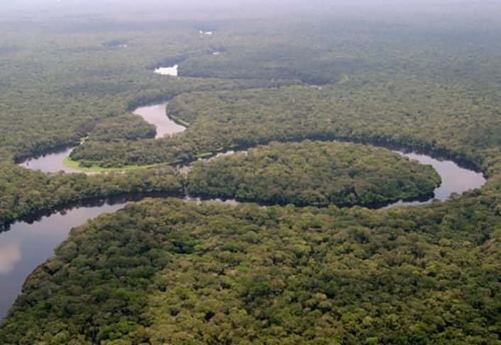 3ª - Floresta do Congo – República Democrática do Congo - É responsável por 70% da cobertura vegetal do subcontinente africano.  Reprodução: Flipar