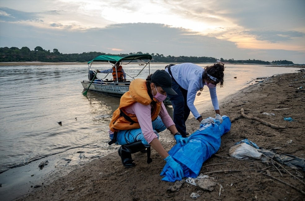 Barcos encalhados em bancos de terra são uma cena cada vez mais comum. 