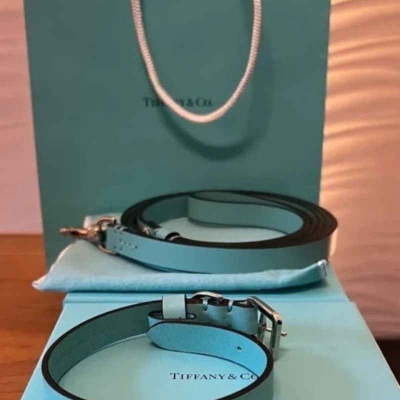 A Tiffany & Co. entrou no mercado pet de maneira mais amena, mas sem deixar de lado a qualidade e a cor que é queridinha do mercado de luxo. Para atender a essa demanda, a marca lançou coleiras de couro premium no famoso azul Tiffany, seguindo os mesmos cuidados que são dados às peças para humanos em sua loja. Segundo Tamara, a ideia é proporcionar uma experiência de luxo completa, estendendo-se aos animais de estimação. Reprodução