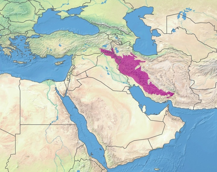 Rodeado pelo Mar Cáspio, pelo Golfo Pérsico e pelo Mediterrâneo, o Planalto Persa é uma vasta região elevada localizada no sudoeste da Ásia. Reprodução: Flipar