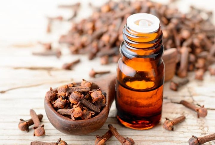 Óleo de cravo - É rico em eugenol, que é tóxico para muitos insetos, incluindo as abelhas. Seu cheiro pungente atua como um dissuasor, impedindo a aproximação. Também é eficaz em áreas pequenas por ser concentrado. Para as pessoas, possui propriedades analgésicas, antissépticas, fungicidas, anti-inflamatórias e antivirais. Reprodução: Flipar