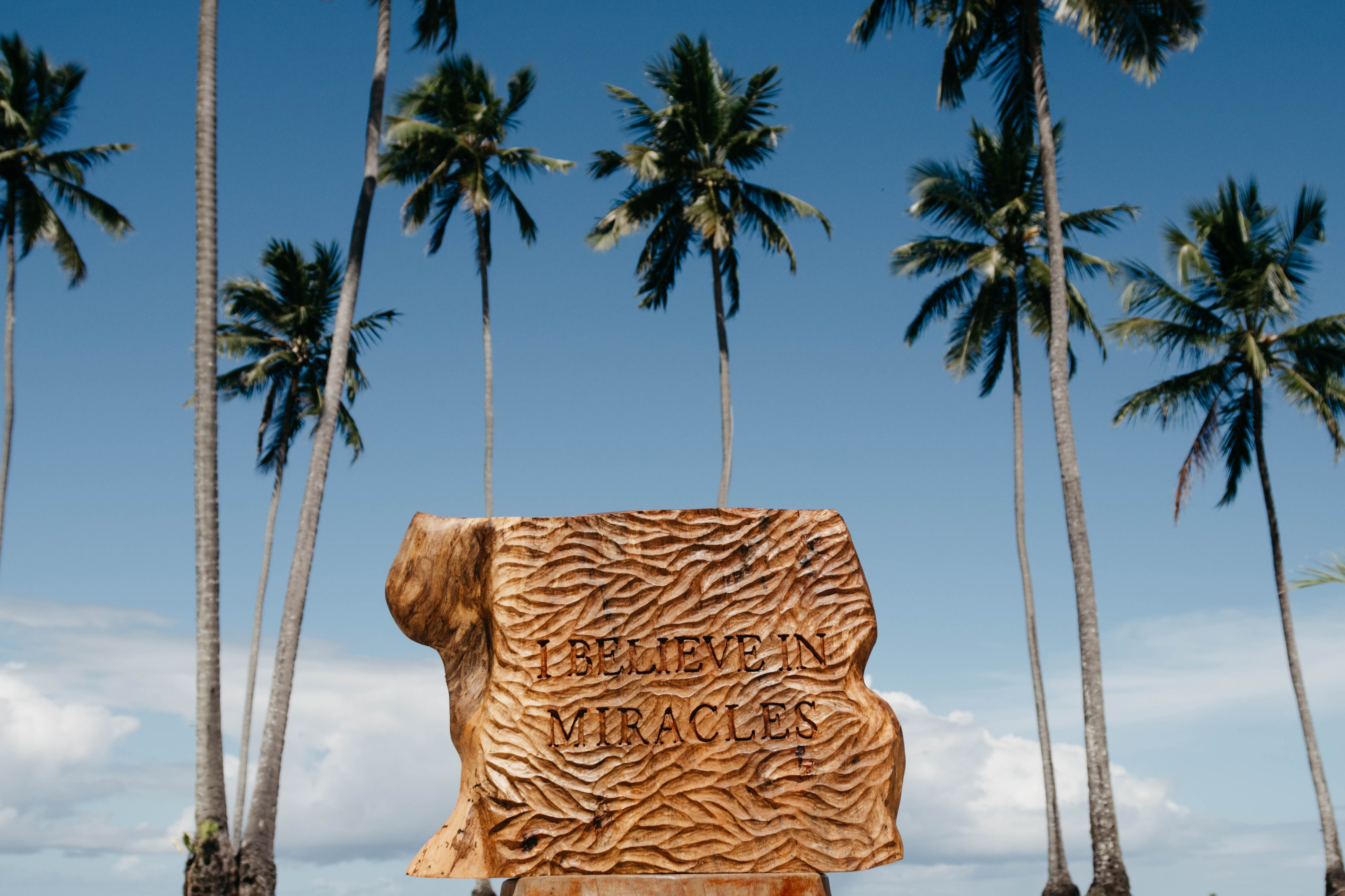 Monumento em São Miguel dos Milagres, Alagoas. Foto: Divulgação / Nico Ferri - Tamo Junto