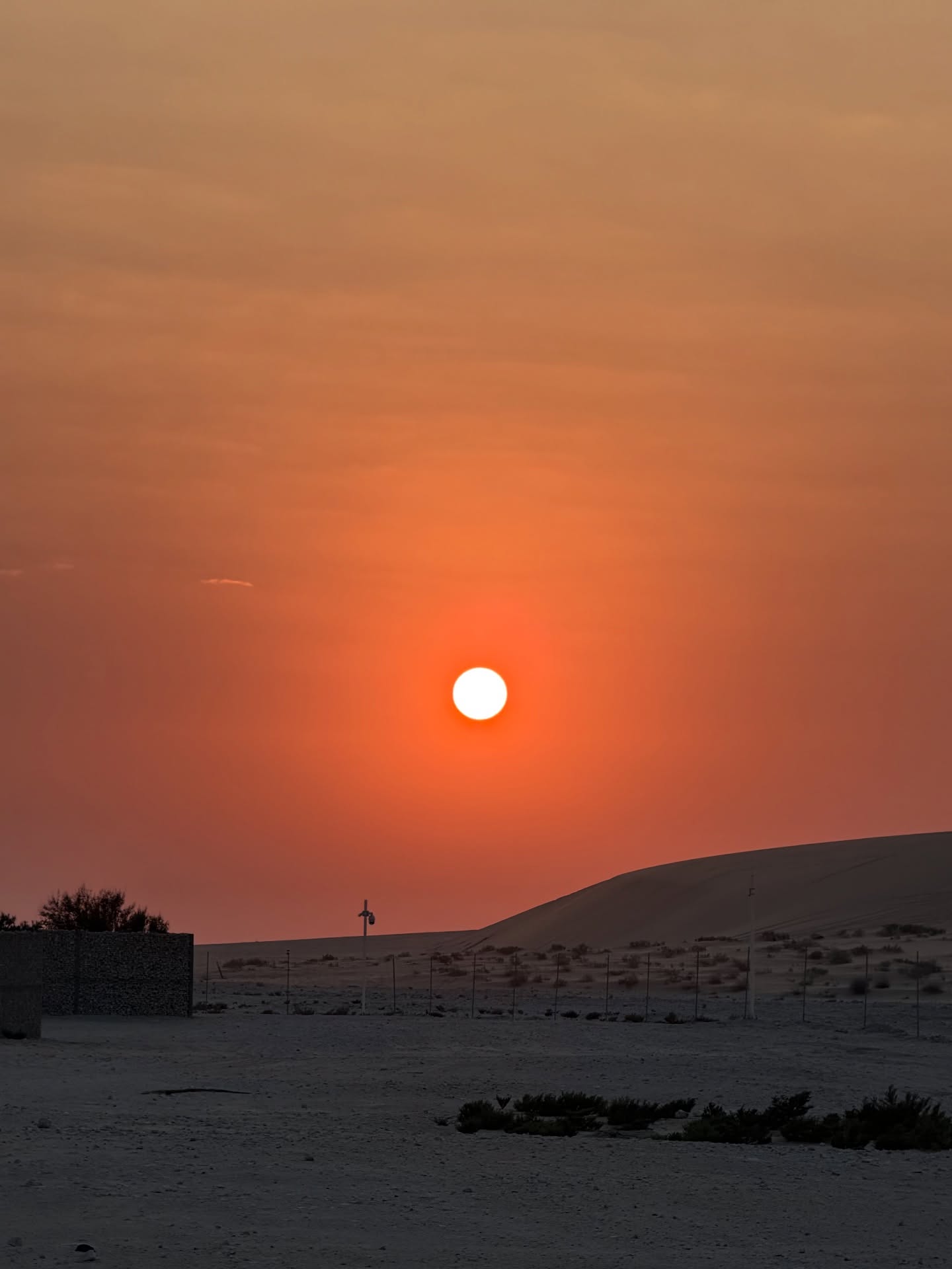 Fotos do álbum compartilhado por Gisele Bündchen. Foto: Instagram/@gisele