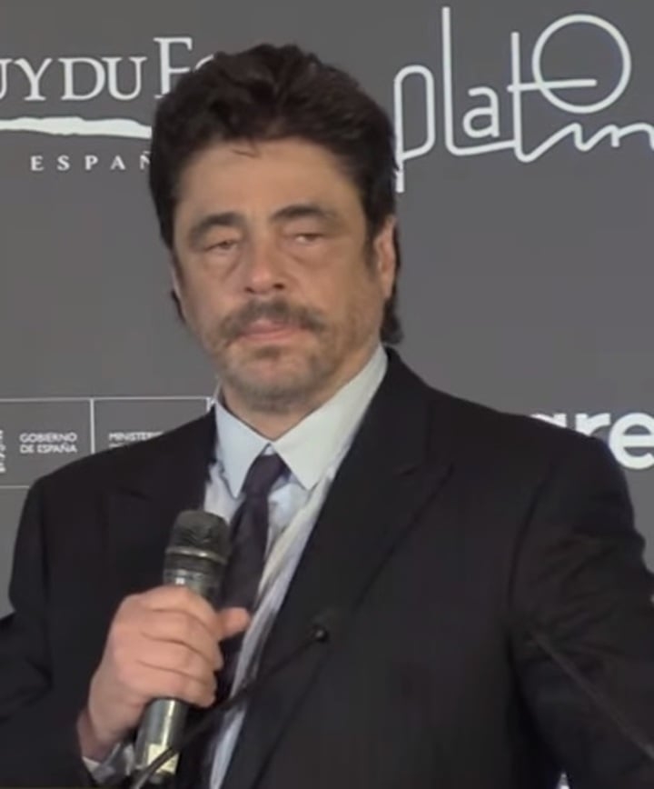 Vários artistas conhecidos nasceram na ilha de Porto Rico. É o caso, por exemplo, do premiado ator Benício del Toro. 
 Reprodução: Flipar