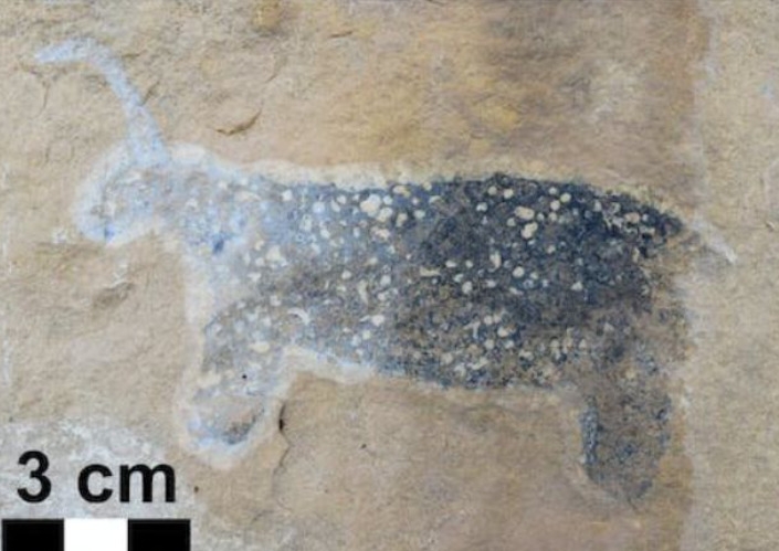 Para os indígenas da etnia San, animais de um só chifre sãoi considerados os que trazem a chuva.  Então, tem tempos de seca, sacrificar o animal fazia parte de um ritual pedindo por chuva. É mais uma crença que envolve a mitologia dos unicórnios.  Reprodução: Flipar