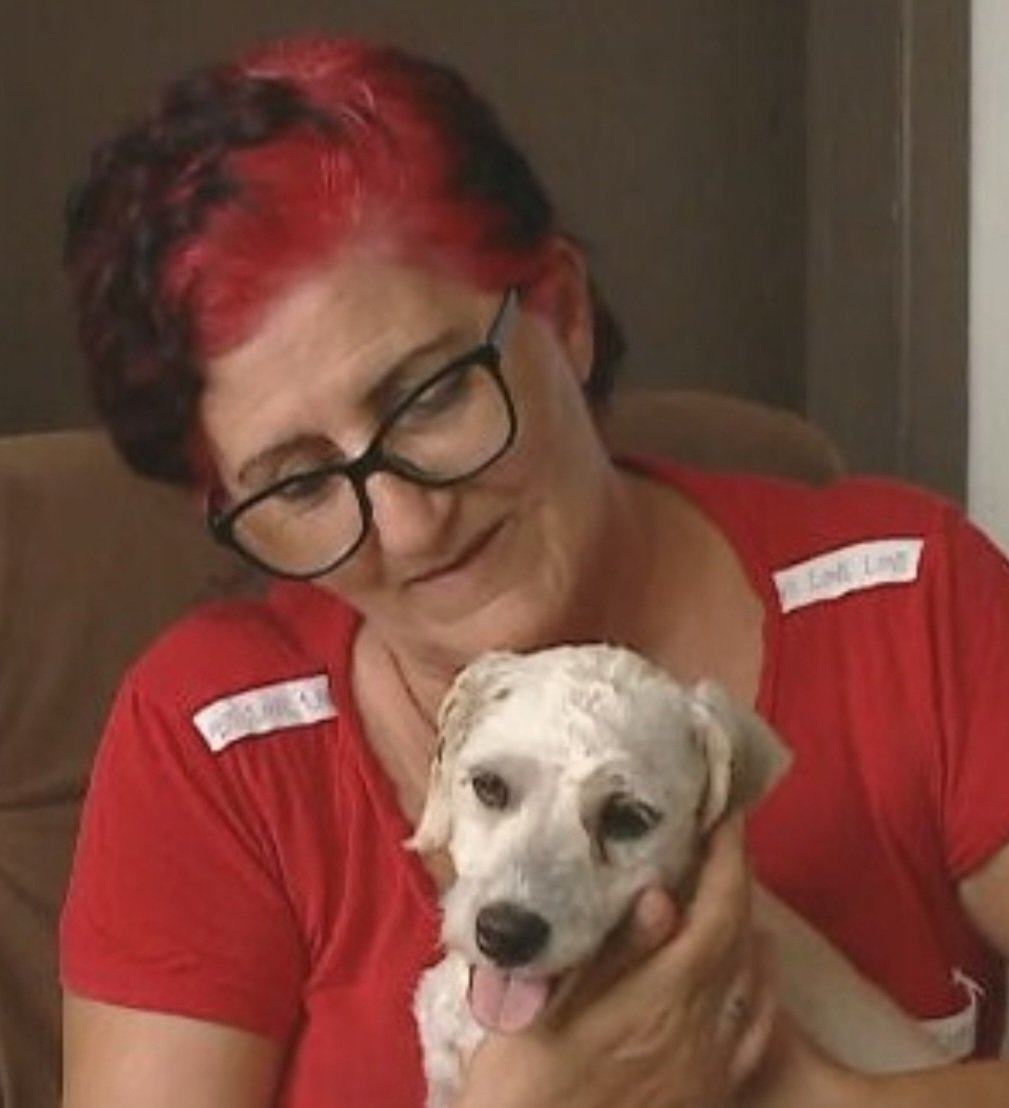 A internauta Soraya Gomes Garcia decidiu adotar a cadelinha. Soraya havia perdido uma cachorrinha de estimação há dois anos.  Gostava tanto do animal que chegou a tatuar seu nome no braço: Mel. Reprodução: Flipar