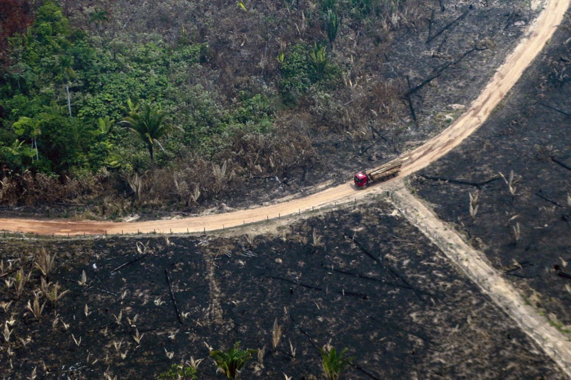 Amazônia: área desmatada tem queda de 33% no primeiro semestre. Foto: redacao@odia.com.br (IG)