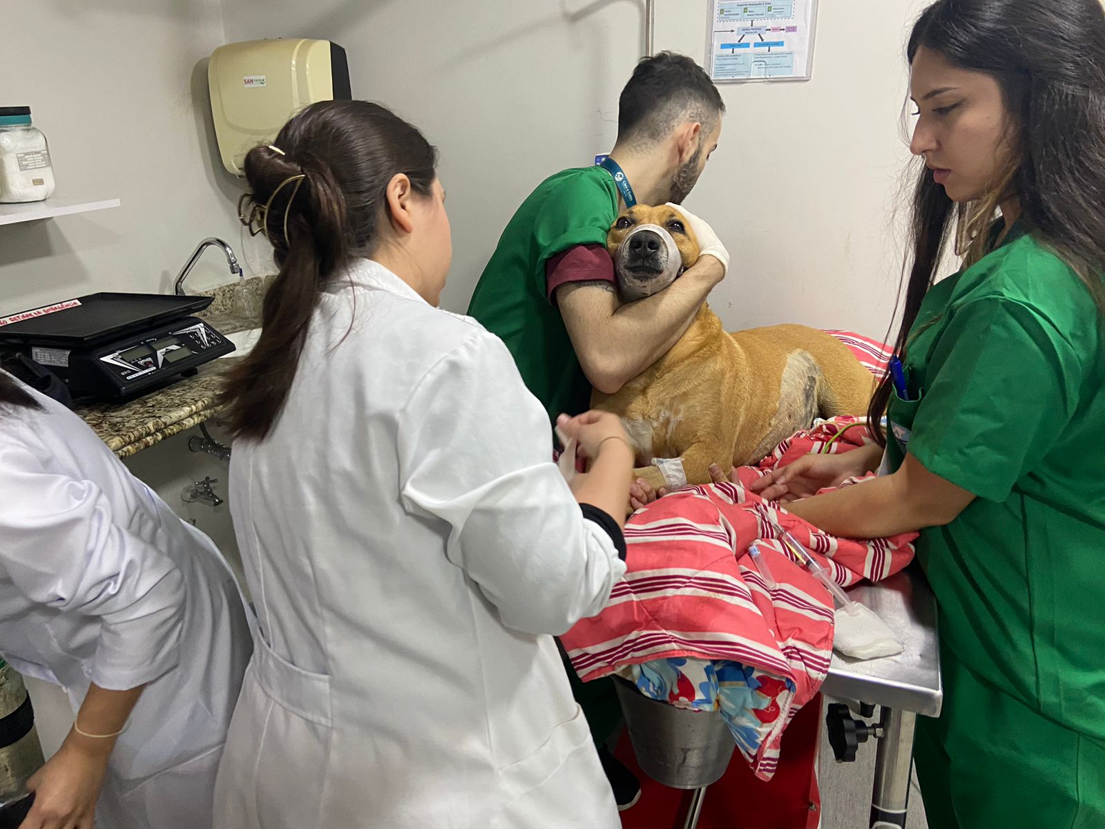 Nenê recebendo atendimento no pronto socorro do hospital