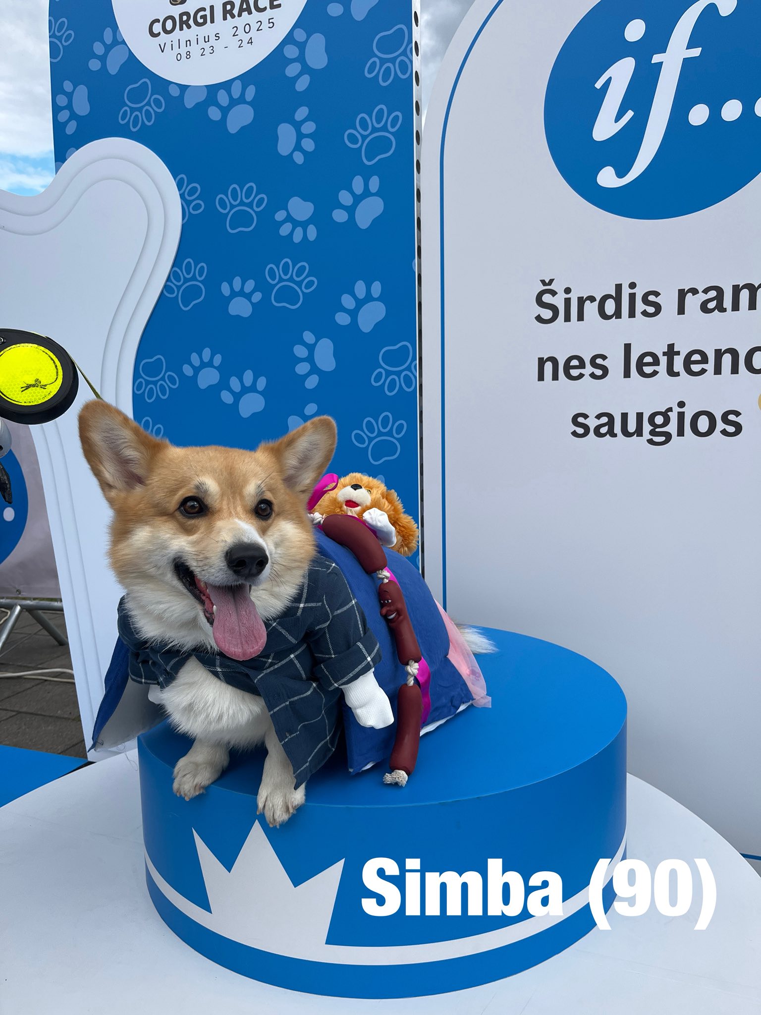 Corrida de Corgis reúne competidores fantasiados na Lituânia. Foto: Facebook/Corgi Race Vilnius