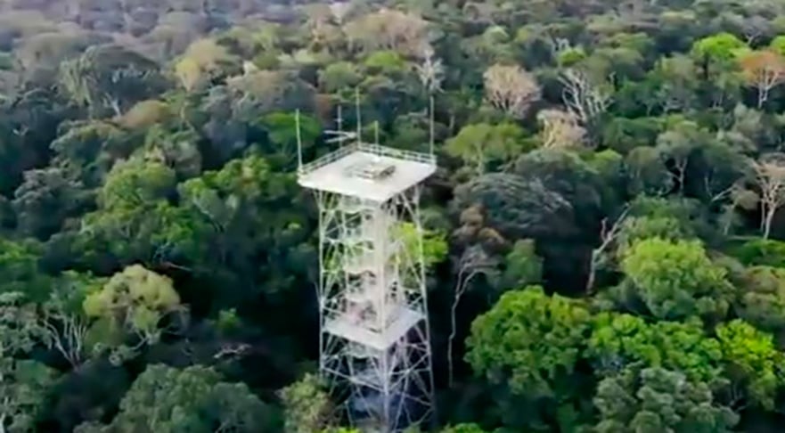 Museu da Amazônia (Manaus): Fundado em 2009, este museu a céu aberto fica na Reserva Florestal Adolpho Ducke.  Tem torres para observação da floresta (foto), tendas de exposição e pavilhões com referências a temas indígenas, fauna e flora. Reprodução: Flipar