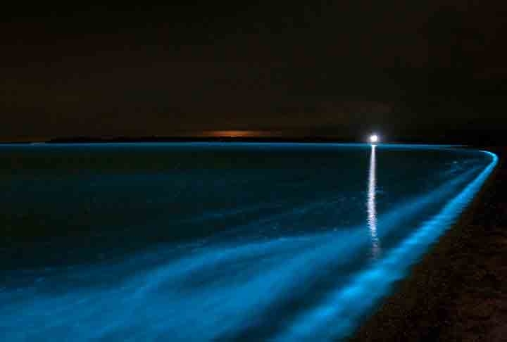 Parque Nacional Gippsland Lakes - Situado em Vitória, na Austrália, o lago é iluminado por dinoflagelados, oferecendo uma visão deslumbrante. Reprodução: Flipar