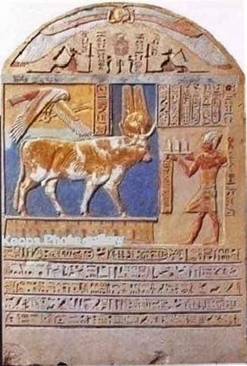 Os ruminantes, seja o boi, o touro ou a vaca, retratavam os deuses Ptá e Osíris, além da natureza. Tanto que o também eram vistos como um símbolo solar. 