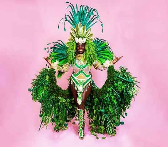 As plumas são materiais nobres utilizados em fantasias de carnaval, principalmente por passistas, musas e destaques. As plumas podem ser de animais como faisões, galos, pavões, gansos e cisnes (de forma artificial). Reprodução: Flipar