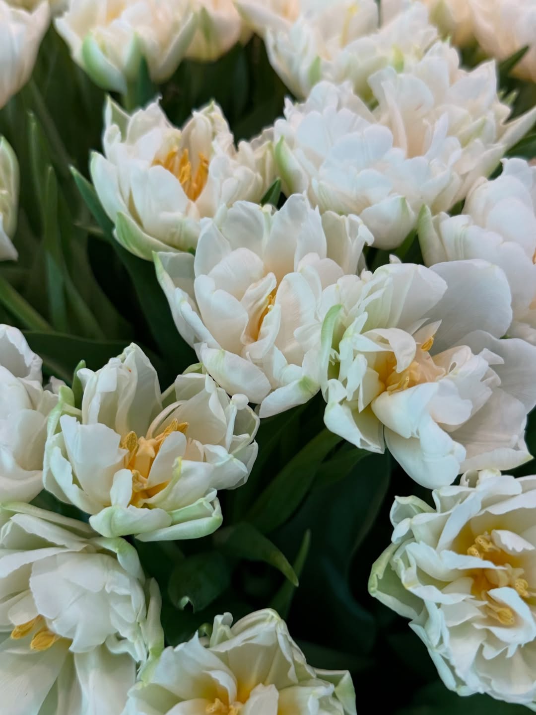 Gisele mostra arranjo de flores. Foto: Reprodução Instagram - 12.5.2025