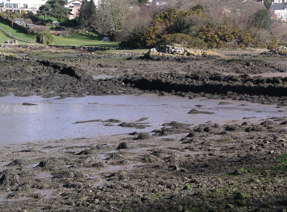 A ponte passa sobre o Estreito de Menai, um rio de águas rasas com 23 km de extensão que separa Anglesey do continente.  Reprodução: Flipar