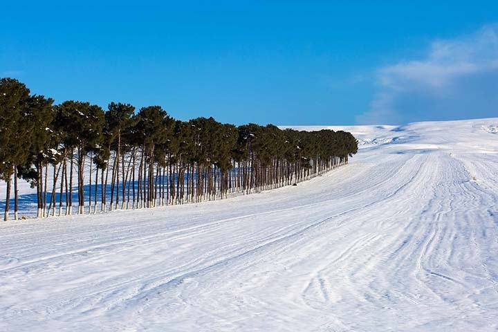 O Azerbaijão também é conhecido por suas paisagens diversas, que incluem montanhas no Cáucaso, planícies férteis e a costa do mar Cáspio. Reprodução: Flipar