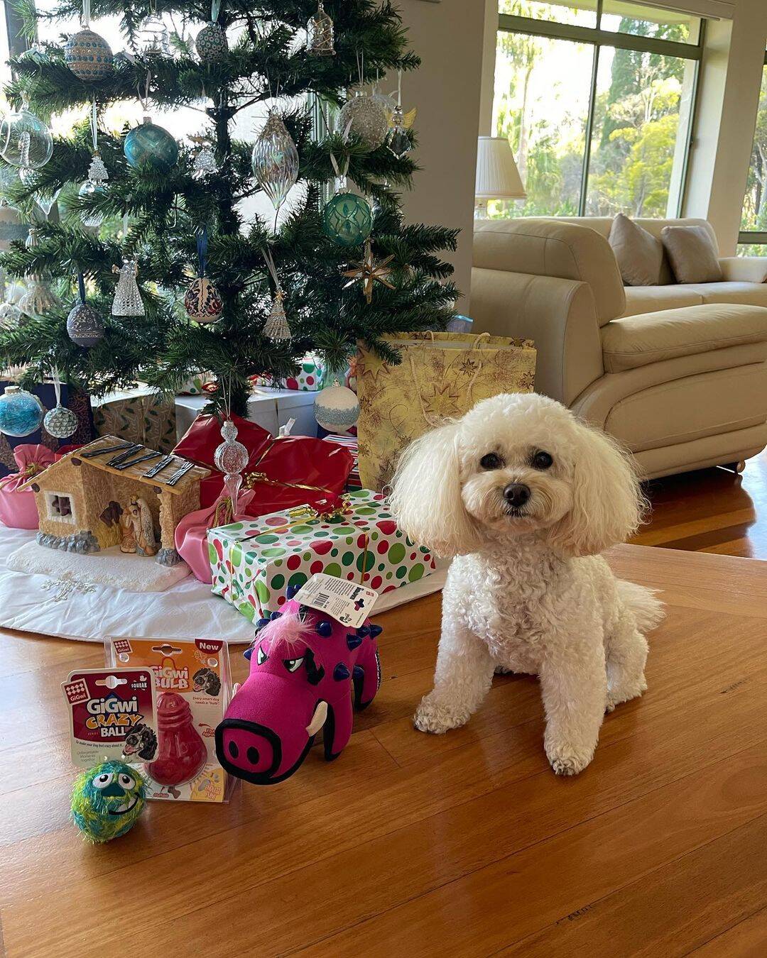 Coco ao lado de seus presentes do último Natal. Foto: Reprodução/Instagram