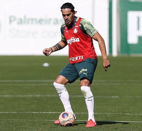 Gustavo Gomez, do Palmeiras. Foto: Instagram