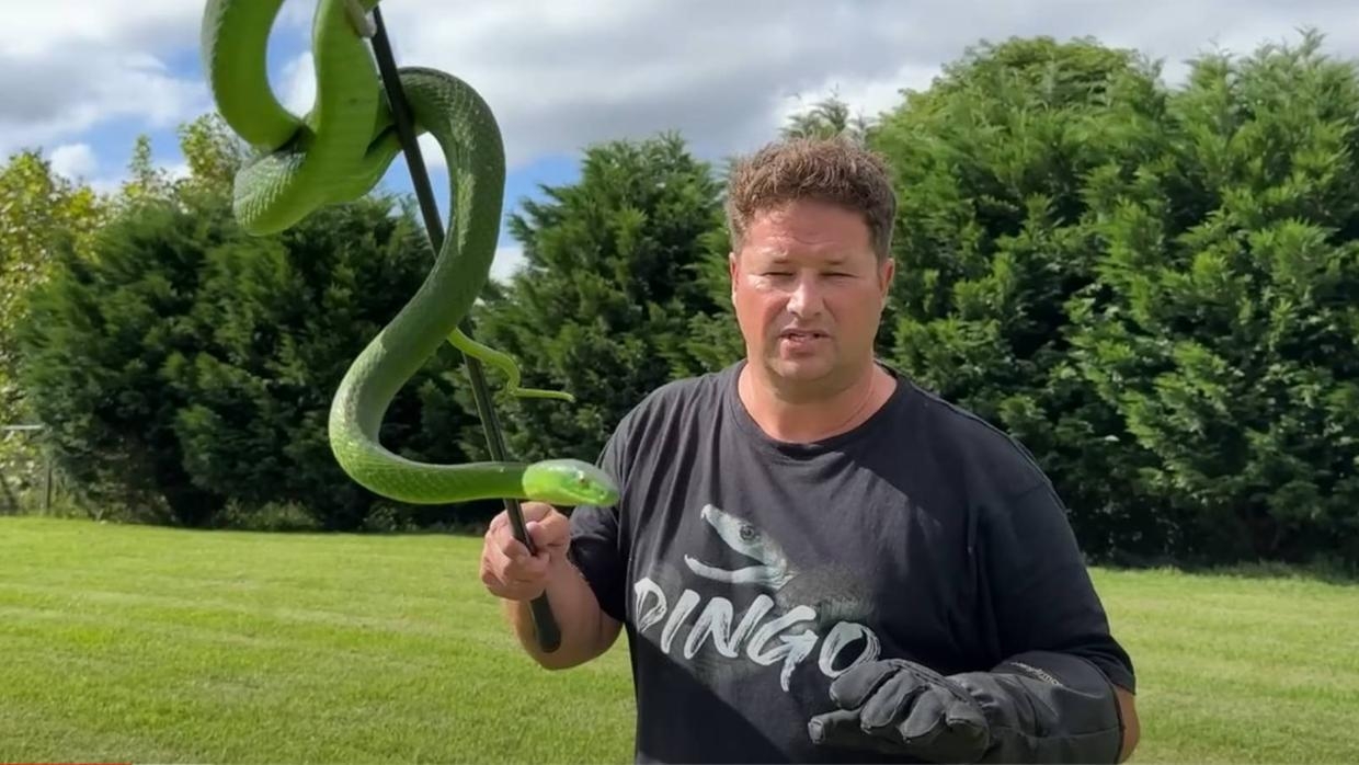 O youtuber sul-africano Graham Dinkelman, o Dingo, mantinha um canal para  postar conteúdos sobre répteis, e morreu após ser envenenado por uma serpente mamba-verde. Reprodução: Flipar