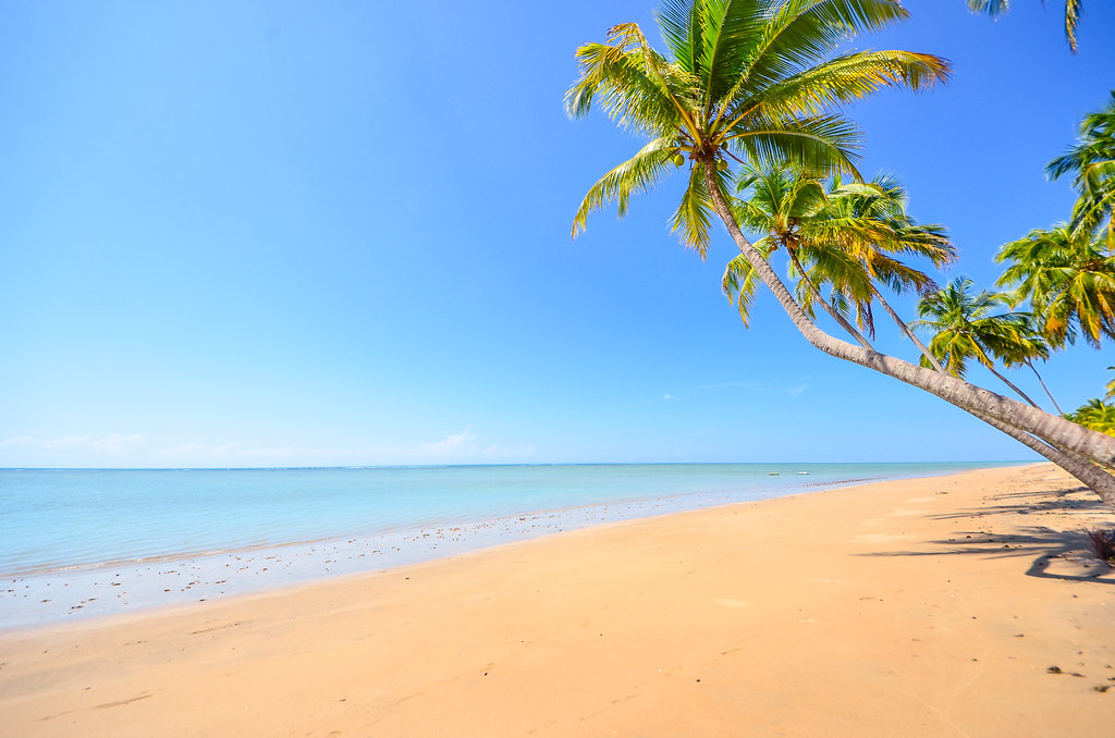 Praia do Patacho, Alagoas. Foto: Divulgação / Redes sociais