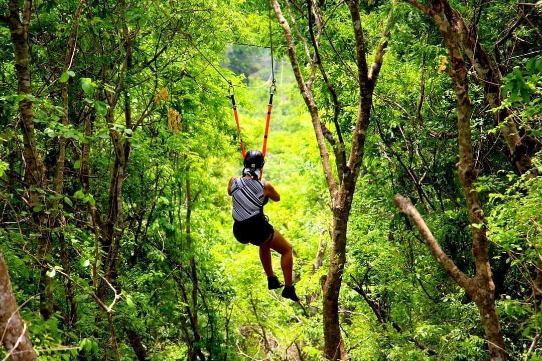 Tirolesa do Parque Ecológico Rio Formoso - Também fica em Bonito (MS).  A tirolesa do parque ecológico tem 520m de extensão e 40m de altura. Passa por plataformas suspensas com 23 obstáculos.   Reprodução: Flipar