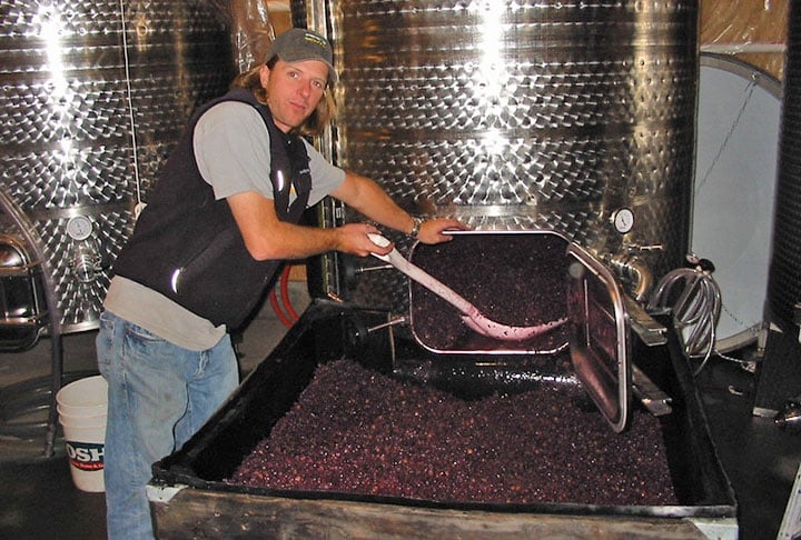 O vinho é definido como a bebida produzida exclusivamente por fermentação parcial ou total de uvas frescas, inteiras ou esmagadas, ou de mostos. Reprodução: Flipar