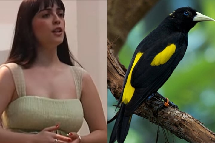 A música foi interpretada pela pianista Patrícia Valadão em 2009, durante o recital de mestrado de Isabela de Figueiredo Santos na Escola de Música da UFMG. Reprodução: Flipar