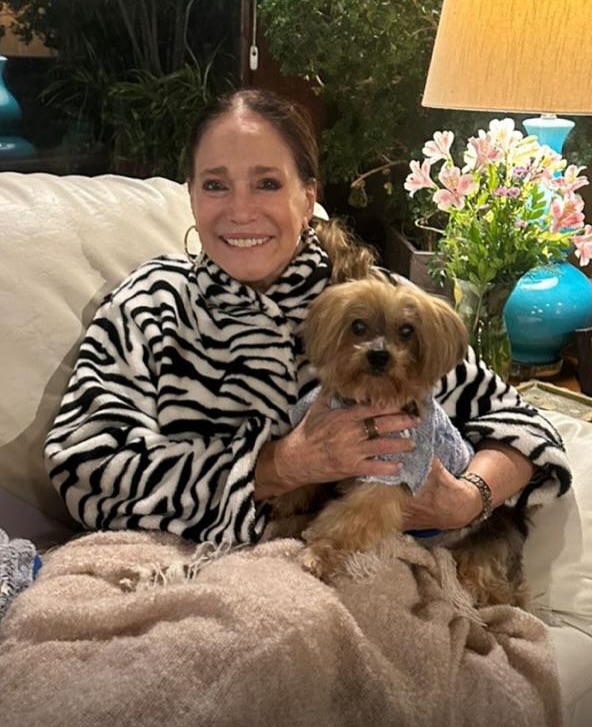 Susana Vieira lamentou a morte de Bob. Foto: Reprodução Instagram - 20.5.2025