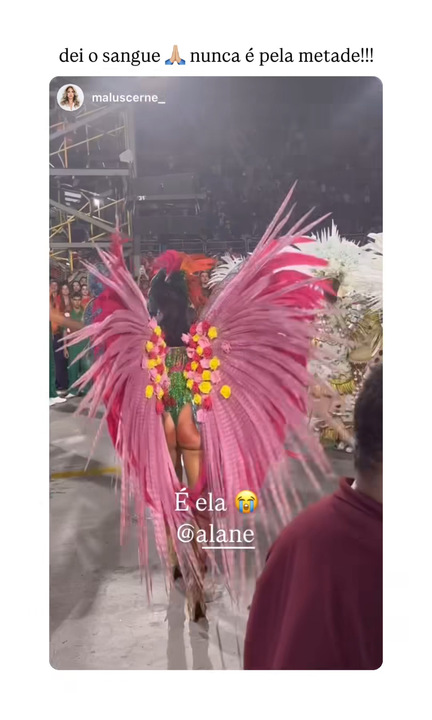 Stories de Alane. Foto: Reprodução: Instagram
