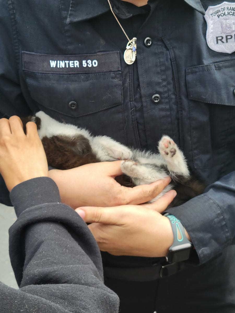 Christine Winter adotou o filhote que recebeu o nome de Otto. Foto: Delegacia de Polícia de Ramapo