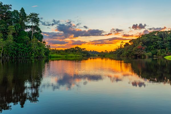Amazônia (AM): A maior floresta tropical do mundo é também um dos destinos mais fascinantes para quem quer fazer ecoturismo no Brasil. Na Amazônia você pode se hospedar em lodges sustentáveis, navegar pelos rios e igarapés, observar a fauna e a flora exuberantes e interagir com as comunidades ribeirinhas. Uma experiência única e inesquecível.  Divulgação/Civitatis