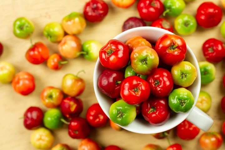 Apesar do grande potencial, o cultivo da acerola no Brasil ainda apresenta desafios como os altos custos de produção. Reprodução: Flipar