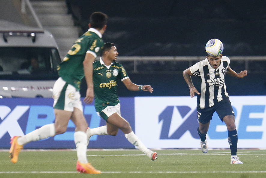 Botafogo x Palmeiras (Foto: Vítor Silva/Botafogo)