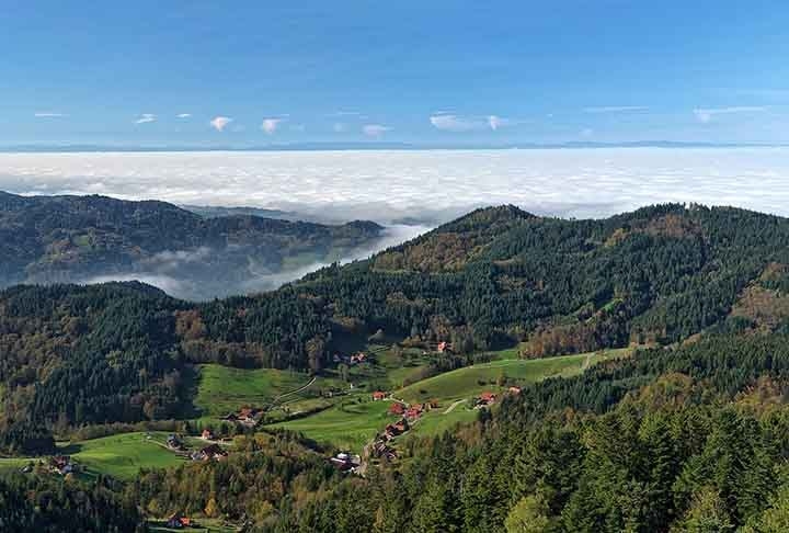 Alemanha - A Floresta Negra é famosa por suas coníferas densas, criando paisagens icônicas e alimentando tradições culturais. A Floresta Negra (Schwarzwald) no sudoeste alemão é conhecida por suas florestas densas de pinheiros e carvalhos, com trilhas para caminhadas.
 Reprodução: Flipar