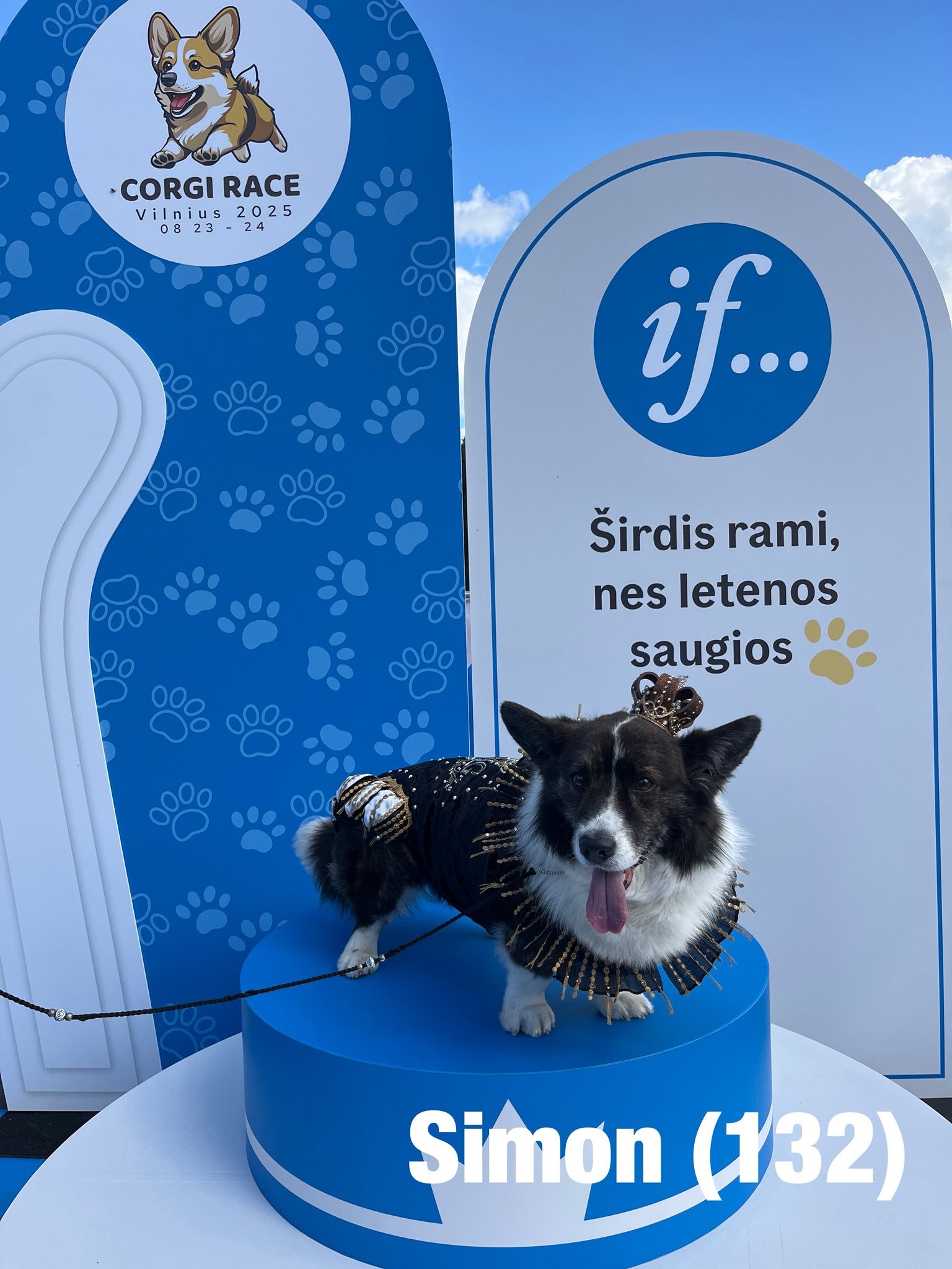 Corrida de Corgis reúne competidores fantasiados na Lituânia. Foto: Facebook/Corgi Race Vilnius