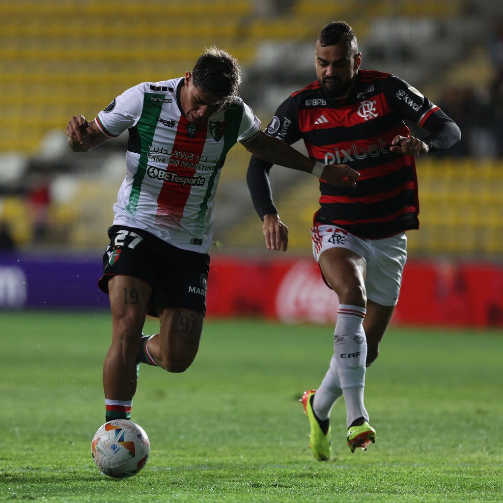 Palestino x Flamengo - Libertadores Reprodução/X