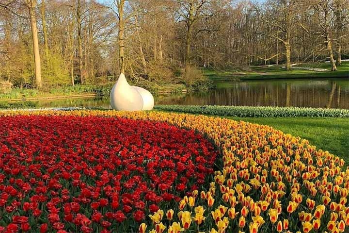 Criado em 1949, o parque é aberto ao público geralmente de março a maio, oferecendo não apenas belas paisagens, mas também eventos e exposições relacionadas ao cultivo de flores. Reprodução: Flipar