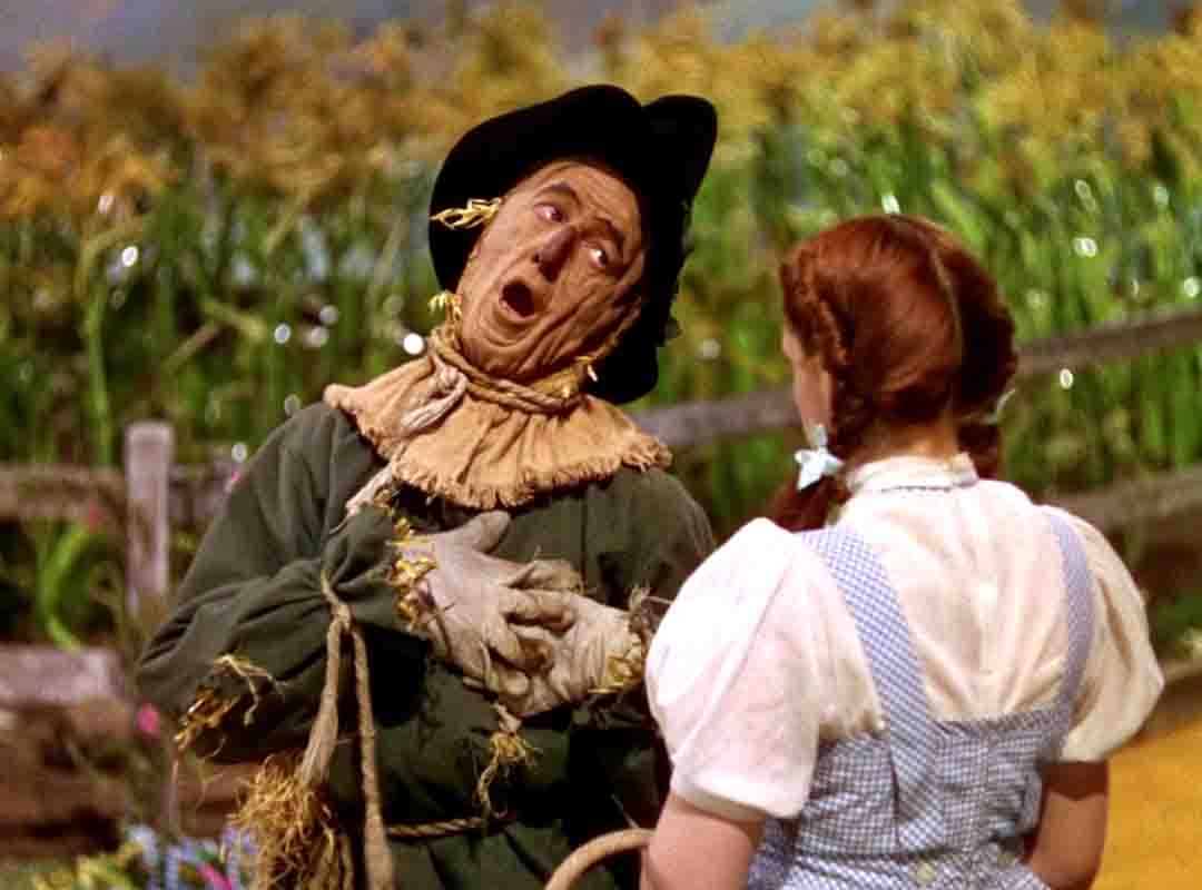 O espantalho já foi personagem de cinema. No clássico musical “O Mágico de Oz”, baseado no livro de literatura infantil escrito por L. Frank Baum, a garota Doroth (Judy Garland) encontra um espantalho (Ray Bolger) que anseia ter um cérebro. 

 Reprodução: Flipar