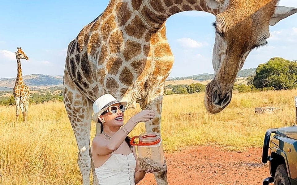 Vivi Cake alimentando a girafa Zoe, no fim da viagem (Arquivo Pessoal)