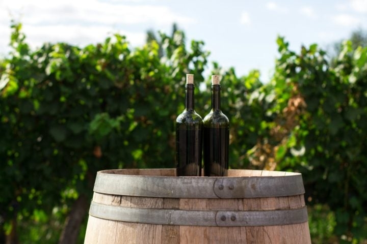 O destaque deste vinho é que ele não é envelhecido em barris de madeira, mas em tanques de concreto, algo que não era feito desde 2011. Reprodução: Flipar